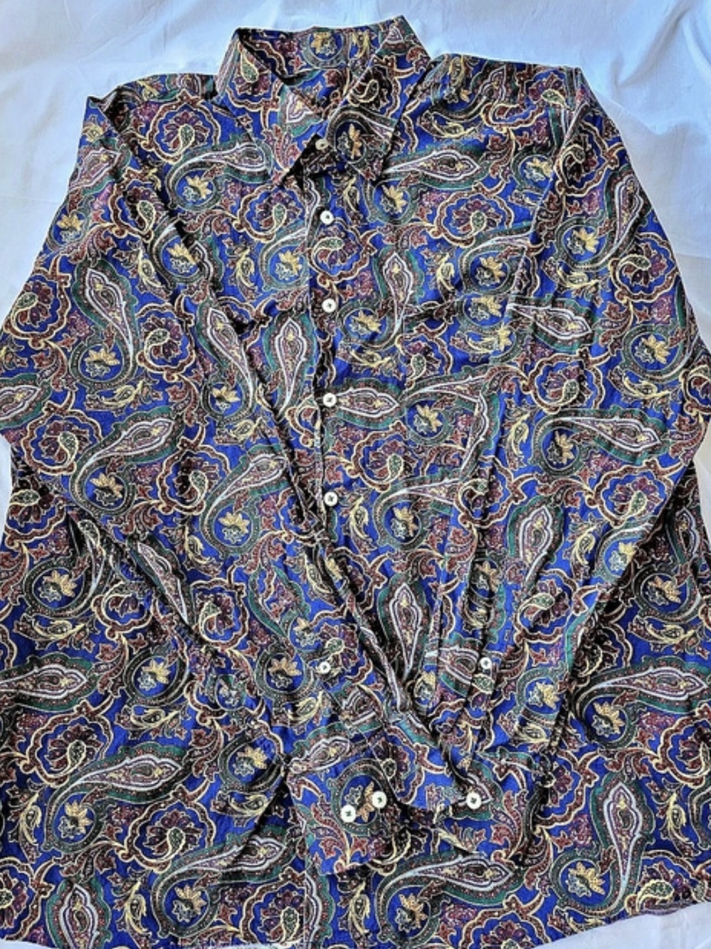 Alan Flusser Paisley Cotton Button Down Blue & Multicolor XL